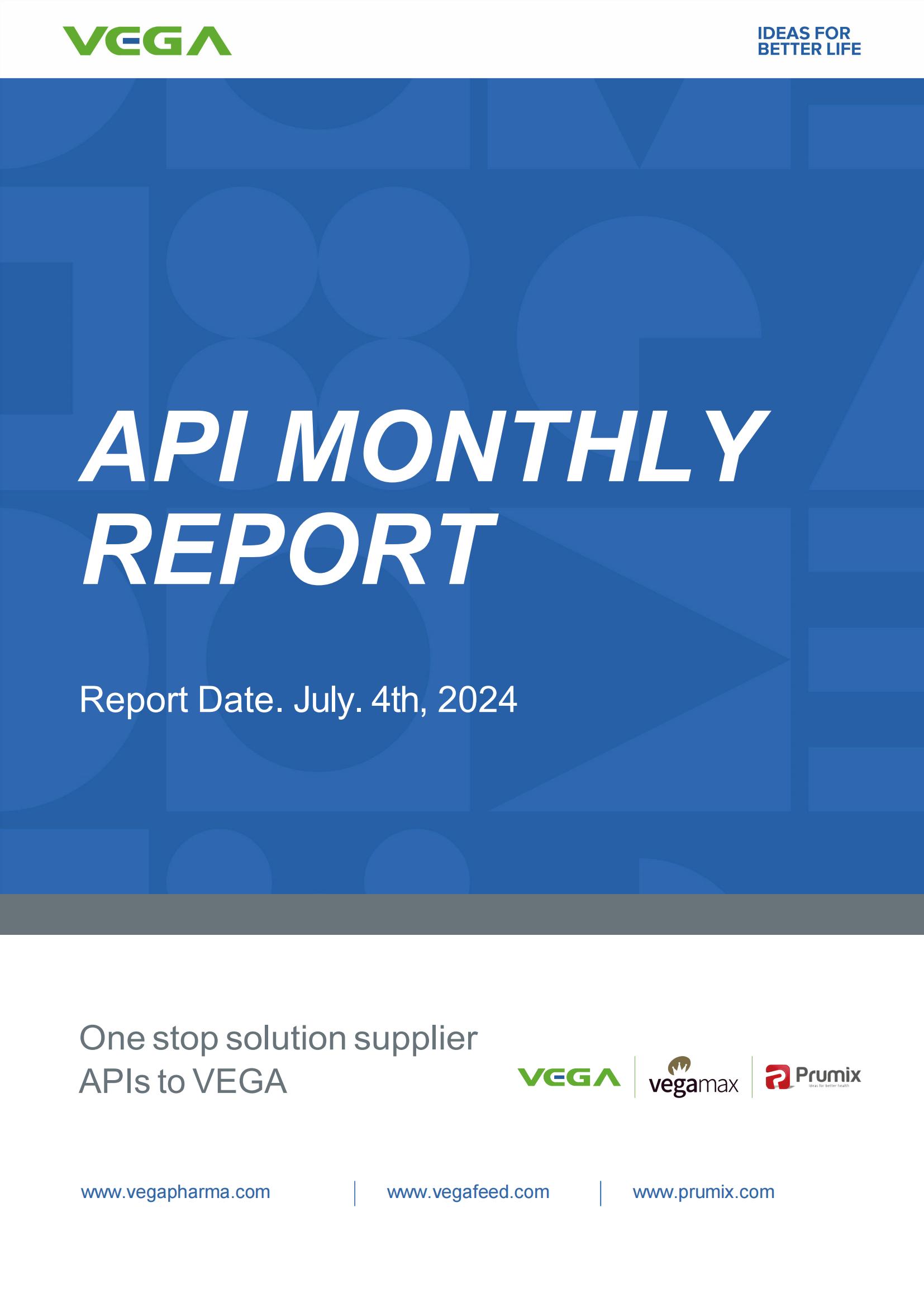 API Market Monthly Report Jun 2024 From VEGA_00.jpg